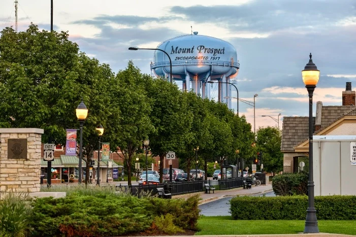 managed IT services in mount prospect